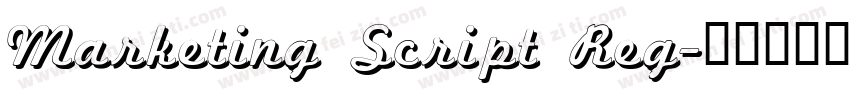 Marketing Script Reg字体转换